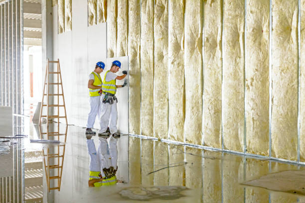 Range of Insulation Solutions in Raymond, IL